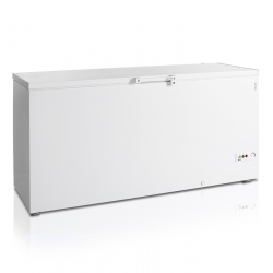 Морозильна скриня TEFCOLD FR605